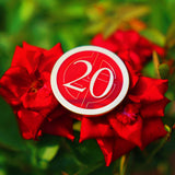 Custom Soft Enamel Metal Keychains